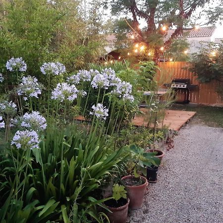 Villa " Les Bambous " , Jardin , Terrasse , Climatisation , Wifi , Parking Avignon Exterior photo